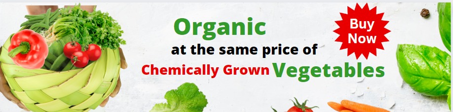 Organic Vegetables