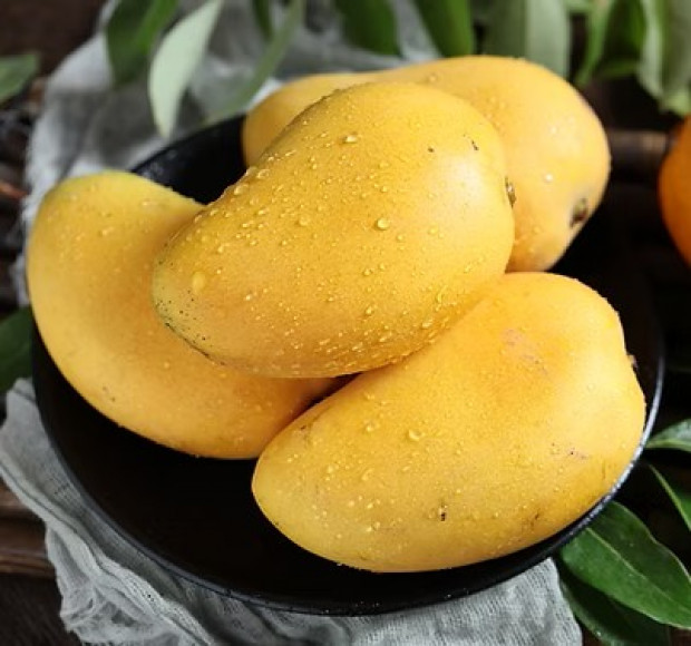 Banganapalli Mango বাঙ্গানাপল্লী আম