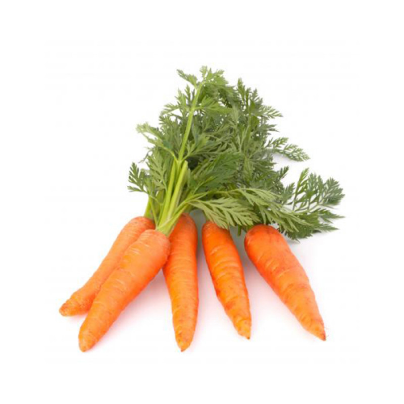 CARROT - গাজর