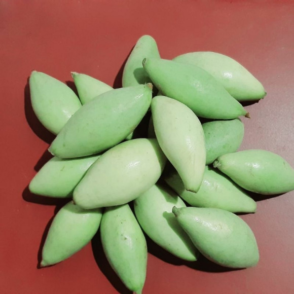 Organic Pointed Gourd - পটল