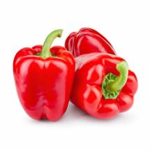 Fresh Red Capsicum