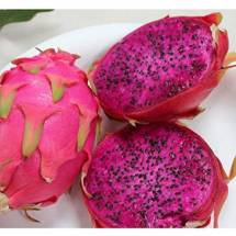 Organic Dragon Fruits