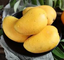 Banganapalli Mango বাঙ্গানাপল্লী আম