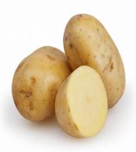 New Potato Jyoti -  জ্যোতি আলু