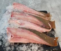 Sankar Fish - Stingray - শঙ্কর মাছ