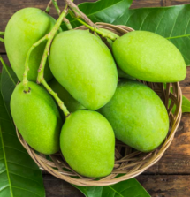 Organic Green Mango - কাঁচা আম
