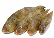 Desi BELE Fish - বেলে মাছ (12-18COUNTS)
