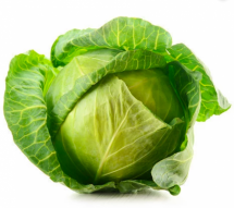 Cabbage