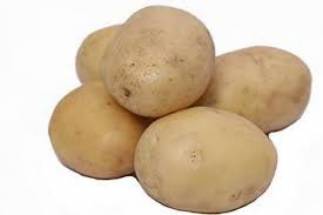 CHANDRAMUKHI POTATO -  নতুন চন্দ্রমুখী আলু