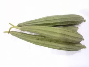 Organic Ridge Gourd