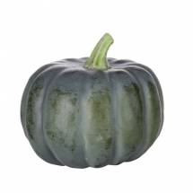 Organic Green Pumpkin - কাঁচা কুমড়া